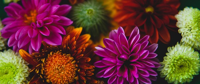 篮球火箭球员赛季数据亮眼