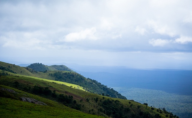 CBA俱乐部杯，山东男篮半场55-50领先青岛男篮，山东队半场打出12人轮换